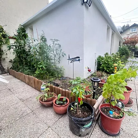 Apartament Neuf Et Meuble
