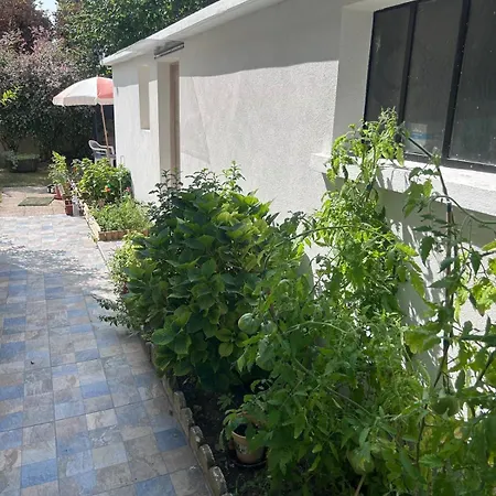 Apartament Neuf Et Meuble Gagny